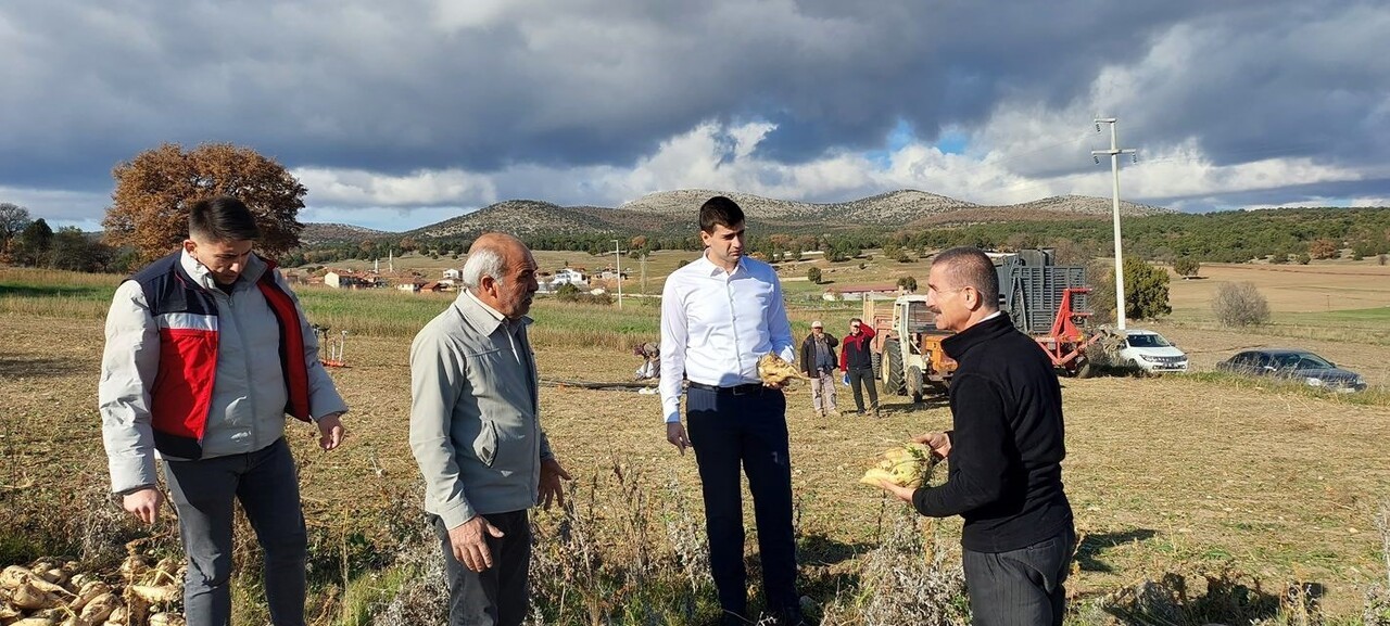 DUMLUPINAR KAYMAKAMI TELTİK, ŞEKER PANCARI HASADINI YERİNDE İNCELEDİ