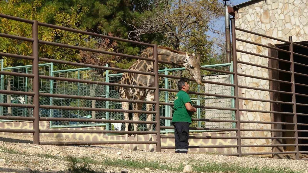 DÜNYA SIRALAMASINDA DÖRDÜNCÜ, TÜRKİYE'NİN İSE EN BÜYÜK HAYVANAT BAHÇESİ OLAN GAZİANTEP DOĞAL YAŞAM...