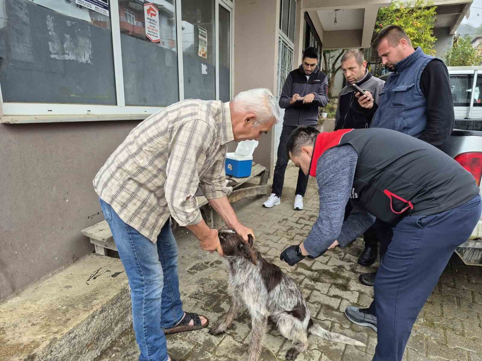 DÜZCE'NİN AKÇAKOCA İLÇESİNDE KEDİ VE KÖPEKLERE MİKROÇİP TAKILMASI ÇALIŞMALARI DEVAM...