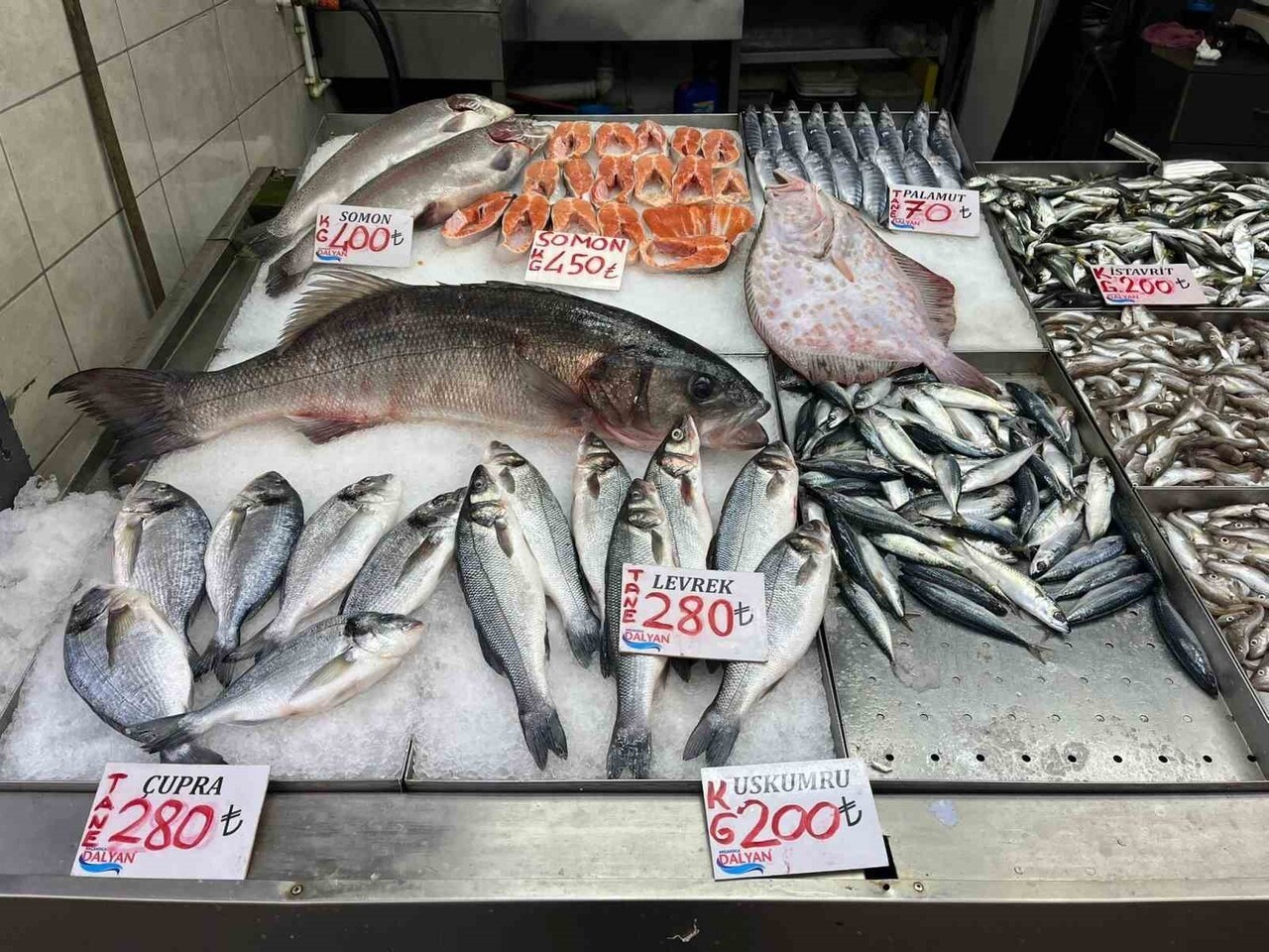 DÜZCE'NİN AKÇAKOCA İLÇESİNDE YAKALANAN 7,5 KİLOGRAM AĞIRLIĞINDAKİ LEVREK BALIĞI İLE KALKAN BALIĞI...