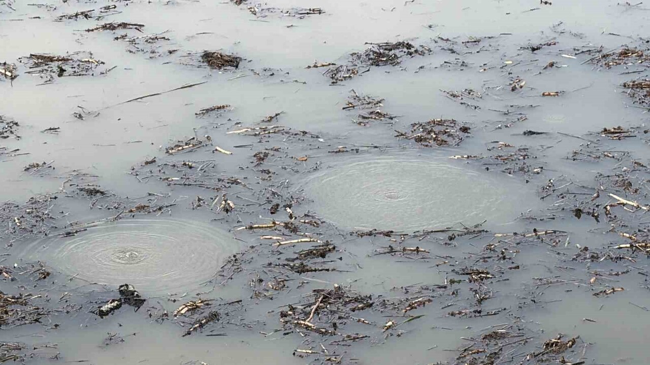 EFTENİ GÖLÜ’NDE DİPTEN YÜZEYE GELEN KABARCIKLAR ENDİŞELENDİRDİ.