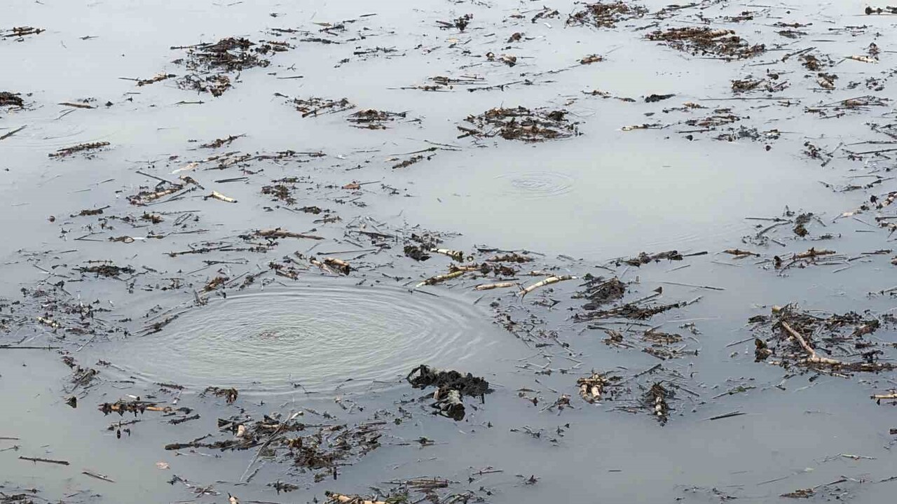 EFTENİ GÖLÜ’NDE DİPTEN YÜZEYE GELEN KABARCIKLAR ENDİŞELENDİRDİ.