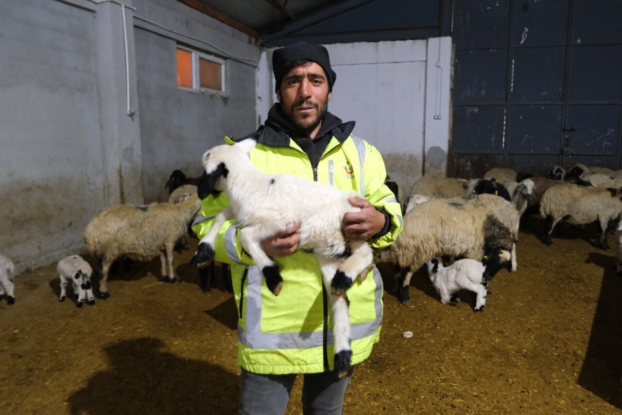 ERZİNCANLI ÜRETİCİ YÜZDE 50 HİBE DESTEĞİYLE 8 MİLYON TL’LİK ÇİFTLİK KURDU