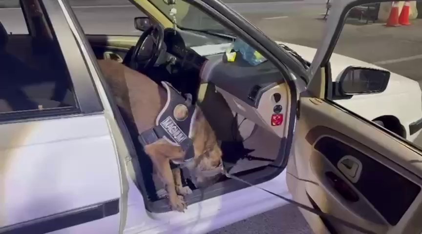 ERZURUM POLİSİNİN UYUŞTURUCU VE UYUŞTURUCU TACİRLERİNE YÖNELİK OPERASYONLARI ARALIKSIZ DEVAM...