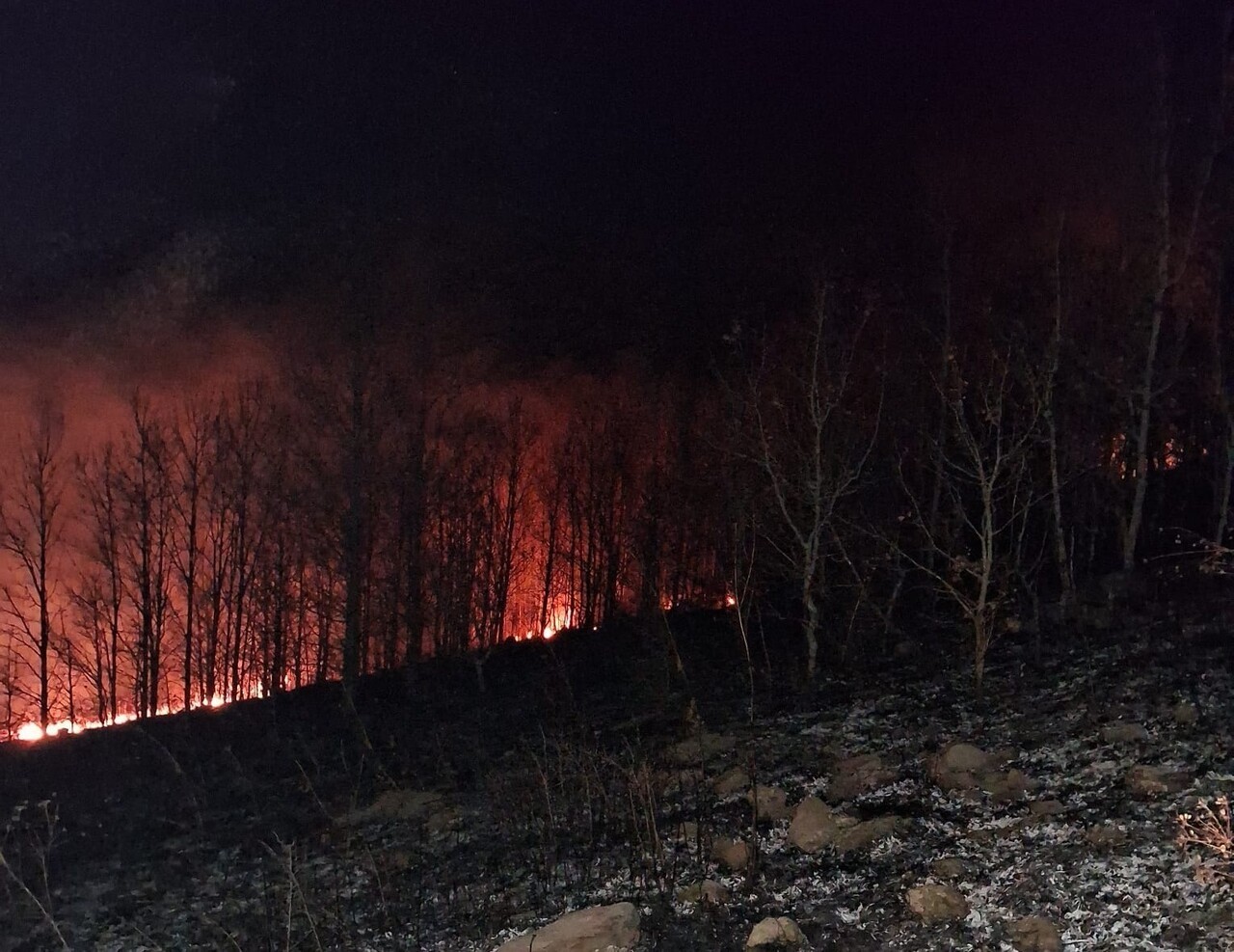 ERZURUM’UN OLTU İLÇESİNE BAĞLI SÜLEYMANLI MAHALLESİ’NDE ÇIKAN ÖRTÜ YANGINI, EKİPLERİN HIZLI VE...