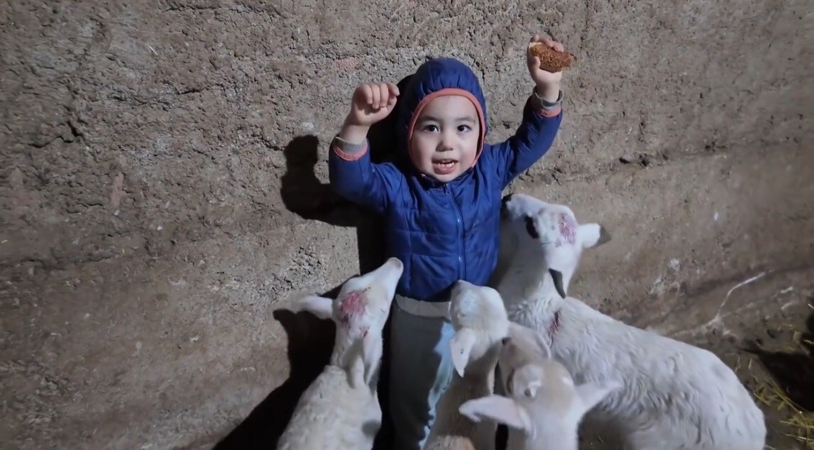 ESKİŞEHİR’DE KUZULARIN ARASINDA KALAN YUSUF ALP TOPKAYA İSİMLLİ MİNİK ÇOCUĞUN, BABASINA VERDİĞİ...
