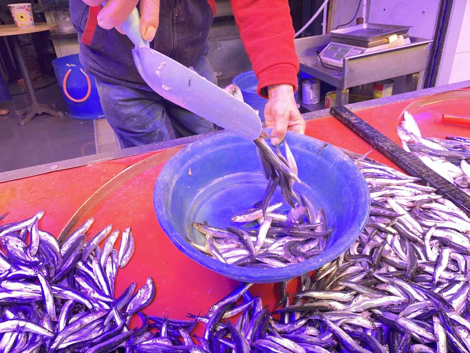 ESKİŞEHİR’DE TEZGAHLARDA 100 TL’YE YER BULAN HAMSİ YOĞUN İLGİ GÖRÜRKEN, BU SENE AZ OLAN PALAMUTUN...