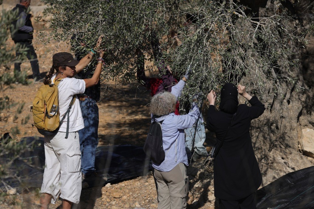 FİLİSTİN YÖNETİMİ, İSRAİL ORDUSU VE YAHUDİ YERLEŞİMCİLERİN İŞGALİ ALTINDAKİ BATI ŞERİA'DA...