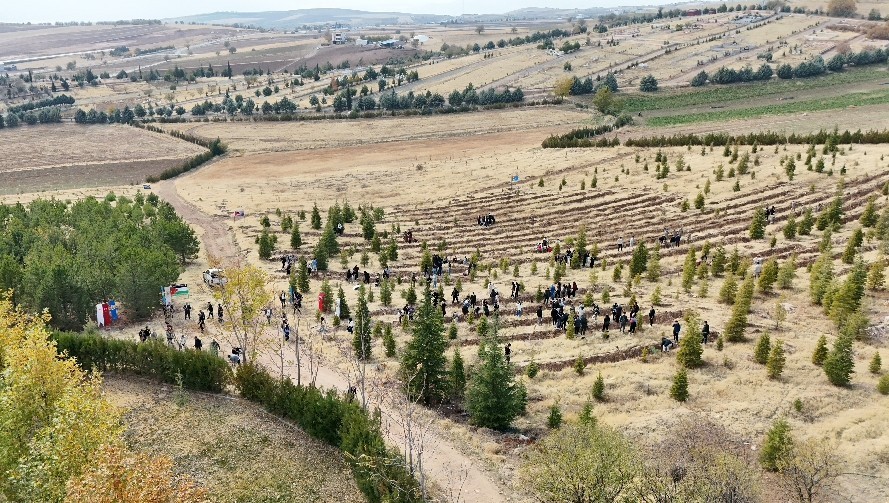 FIRAT ÜNİVERSİTESİ KOVANCILAR MESLEK YÜKSEKOKULU TIBBİ HİZMETLER VE TEKNİKERLER ÖĞRENCİ TOPLULUĞU...
