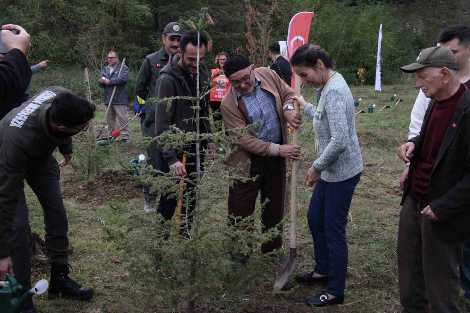 GERZE İLÇESİNDE, 11 KASIM MİLLİ AĞAÇLANDIRMA GÜNÜ KAPSAMINDA DÜZENLENEN ETKİNLİKTE, ORMAN...