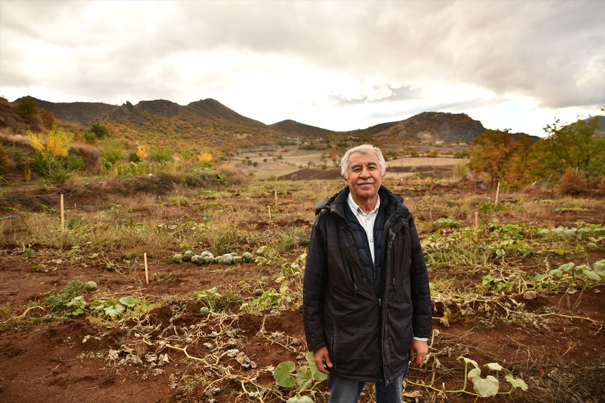 Giresun'un Şebinkarahisar ilçesinde yaşayan Celal Bay, yörede iklim koşullarına uyum sağladığı...