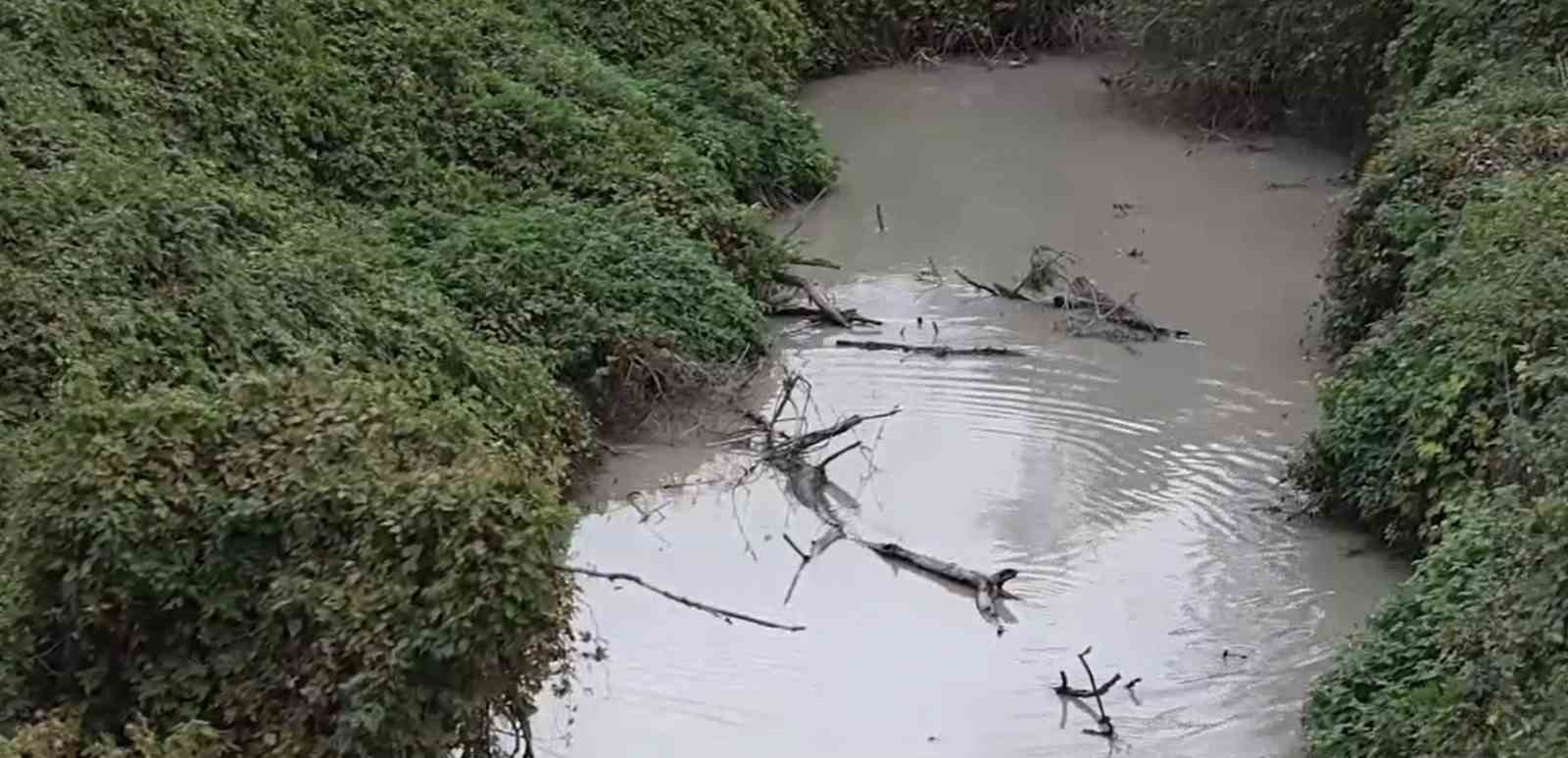 GÖNEN ÇAYI’NDA EKOLOJİK ÇÖKÜŞ: BİLİM İNSANLARINDAN ACİL EYLEM ÇAĞRISI