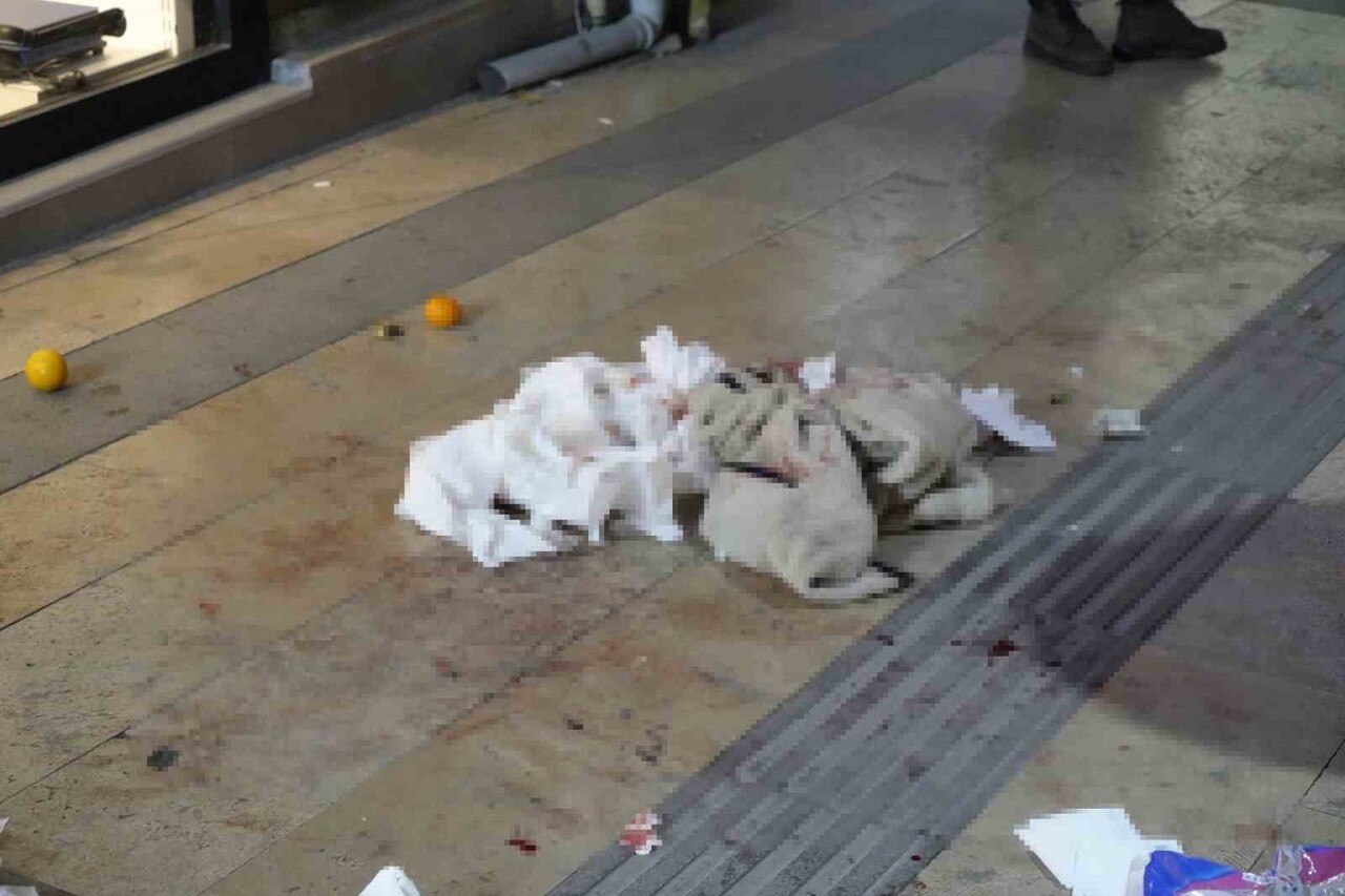 GÜMÜŞHANE’DE BOŞANMA AŞAMASINDAKİ EŞİNİN BIÇAKLI SALDIRISINA UĞRAYAN KADIN HASTANEYE...