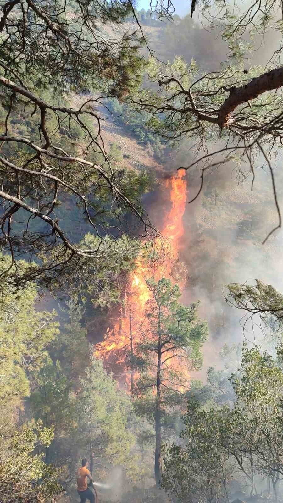 HATAY’DA ORMAN YANGINI