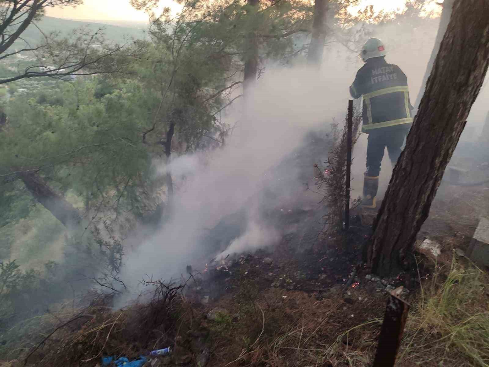 HATAY’DA ORMANLIK ALANDA ÇIKAN YANGIN BÜYÜMEDEN SÖNDÜRÜLDÜ.