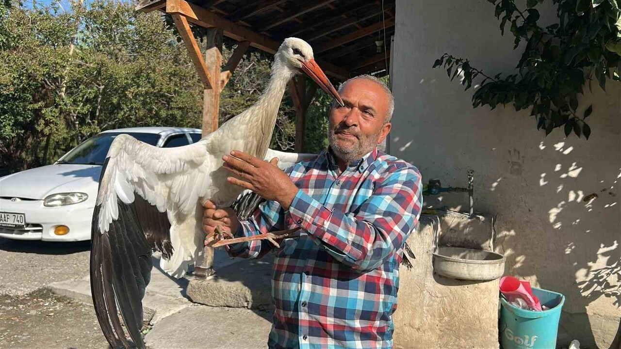 HATAY’IN DÖRTYOL İLÇESİNDE YAŞAYAN YUSUF POYRAZ, BİR HAFTA ÖNCE EVİNİN BAHÇESİNE GELEN LEYLEĞİ...