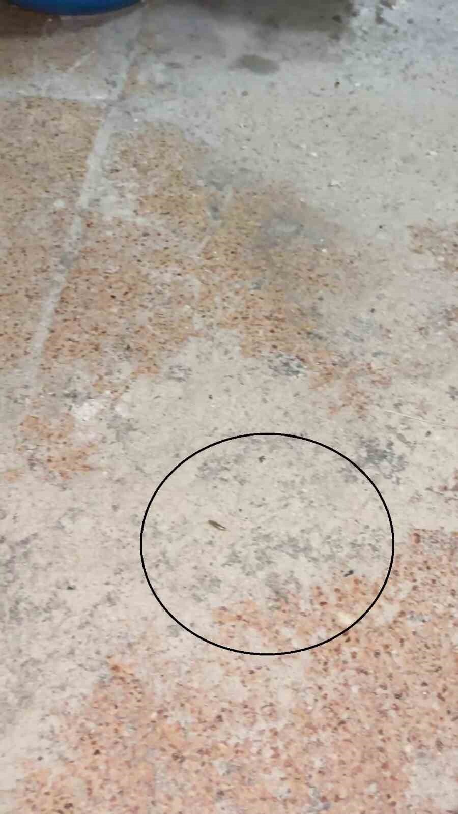 HATAY’IN KIRIKHAN İLÇESİNDE ZABITA EKİPLERİNİN FIRINLARA YÖNELİK GERÇEKLEŞTİRDİĞİ DENETİMDE MİDE...