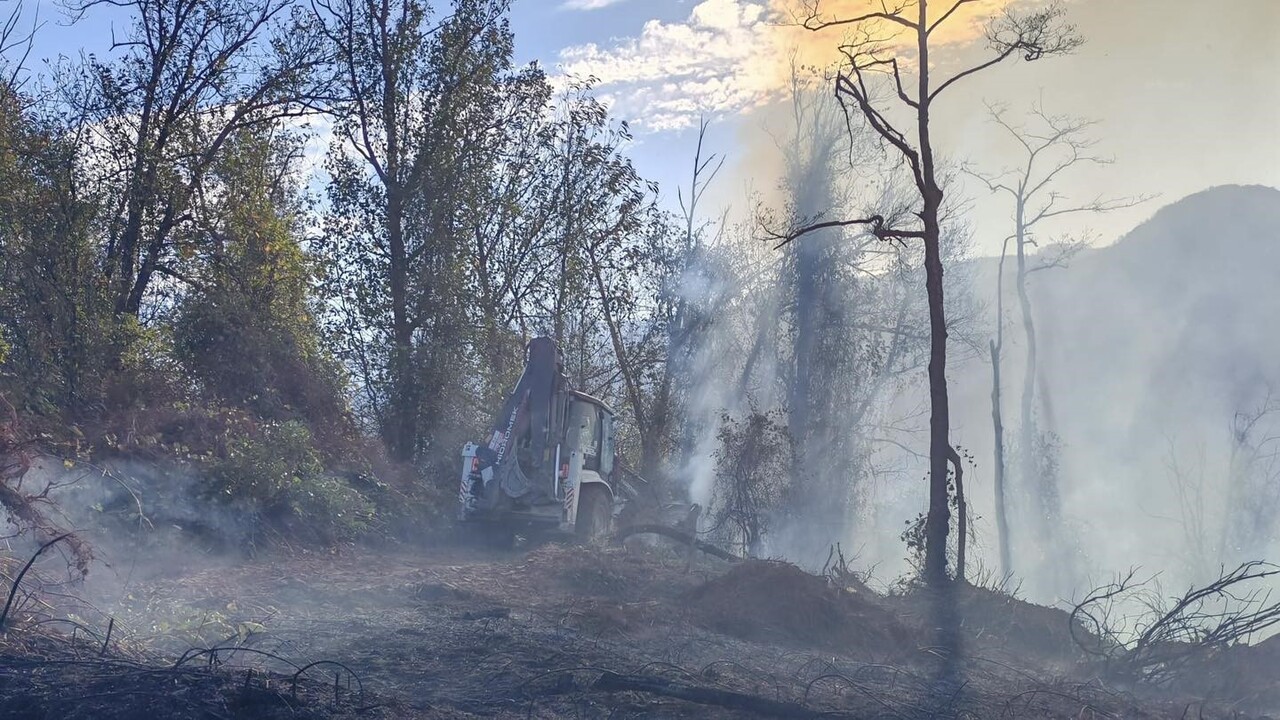 HOPA İLÇESİNDE SABAHA KARŞI BAŞLAYAN ORMAN YANGINI RÜZGARIN ETKİSİYLE BÜYÜYEREK GENİŞ BİR ALANA...