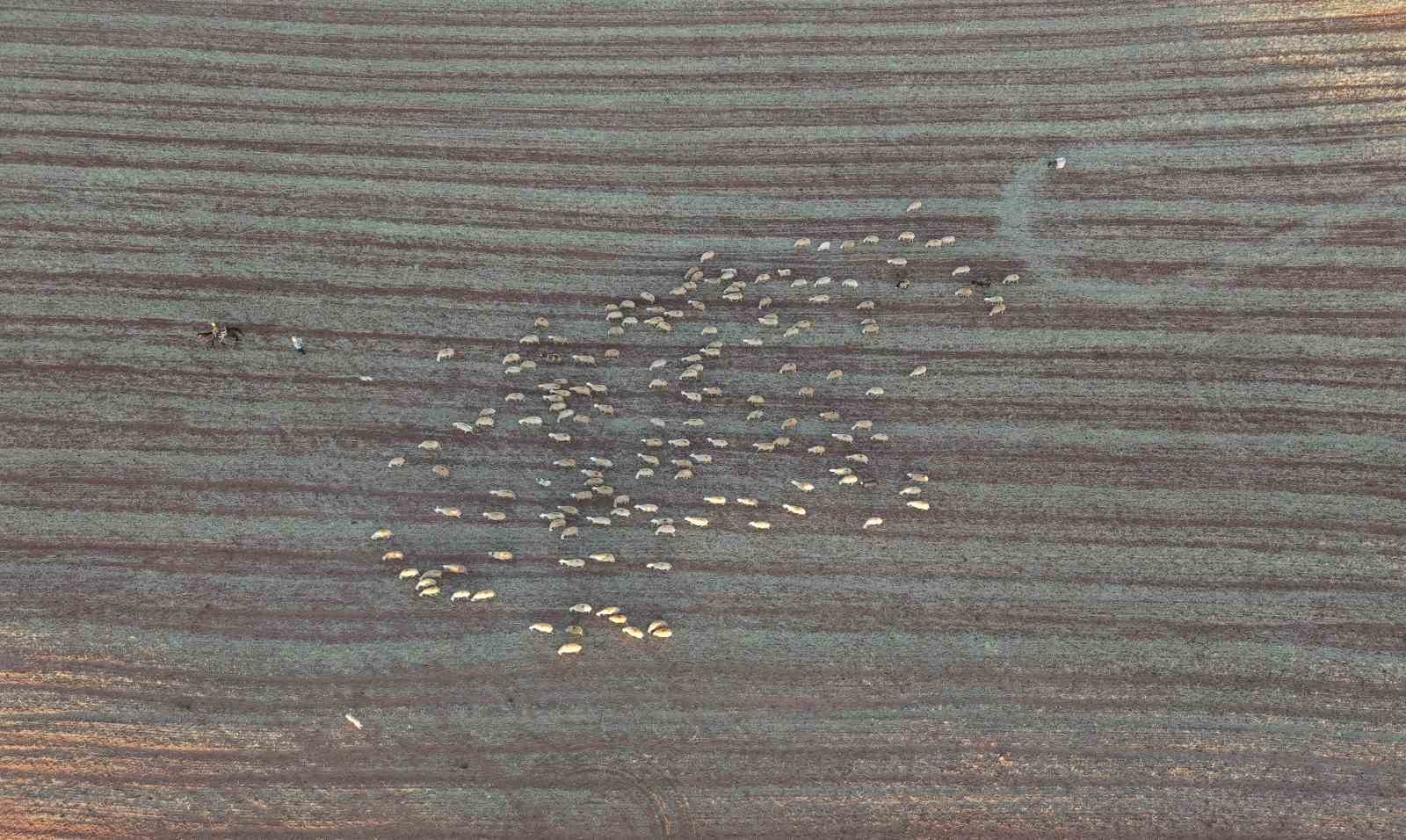 İSTANBUL'UN KALABALIĞINDAN VE STRESLİ YAŞAMINDAN UZAKLAŞAN MEHMET ÖZMEN (40), 3 YIL ÖNCE...