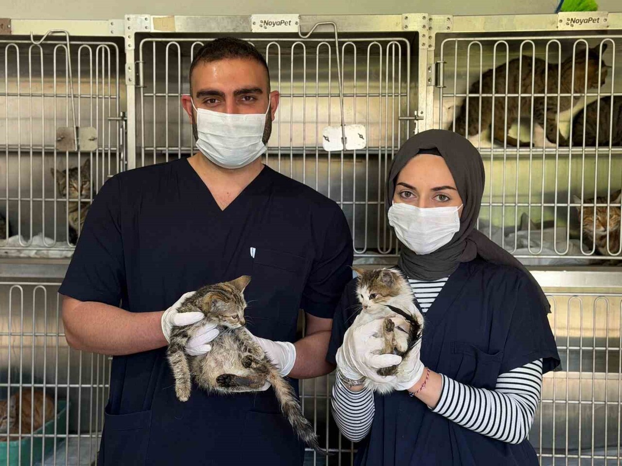 KARABÜK BELEDİYESİ, SAHİPSİZ HAYVAN BAKIMEVİ VE REHABİLİTASYON MERKEZİ’NDE KIŞ MEVSİMİNE YÖNELİK...