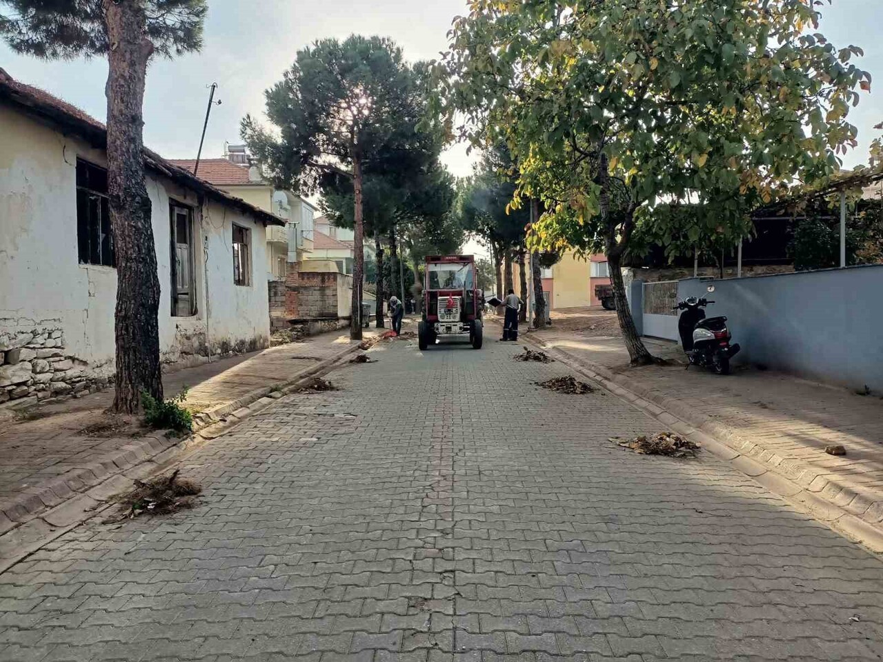 KARACASU BELEDİYESİ EKİPLERİ, İLÇE GENELİNDE DAHA TEMİZ VE SAĞLIKLI BİR ÇEVRE İÇİN ÇALIŞMALARINI...