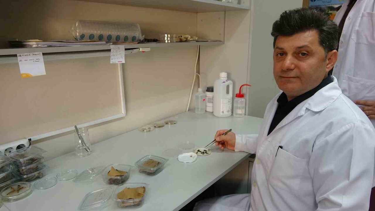 KARADENİZ TEKNİK ÜNİVERSİTESİ (KTÜ) FEN FAKÜLTESİ BİYOLOJİ BÖLÜMÜ ÖĞRETİM ÜYESİ PROF. DR İSMAİL...