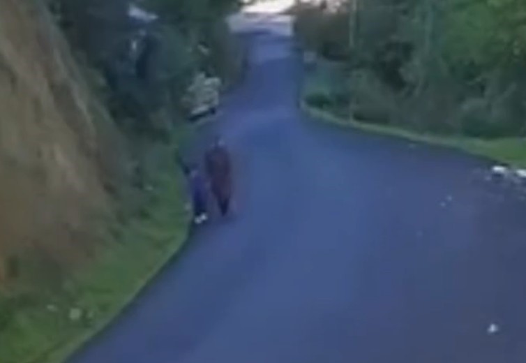 KASTAMONU'NUN BOZKURT İLÇESİNDE KAYBOLAN ANNE İLE 5 YAŞINDAKİ OĞLUNU ARAMA ÇALIŞMALARI BEŞİNCİ...