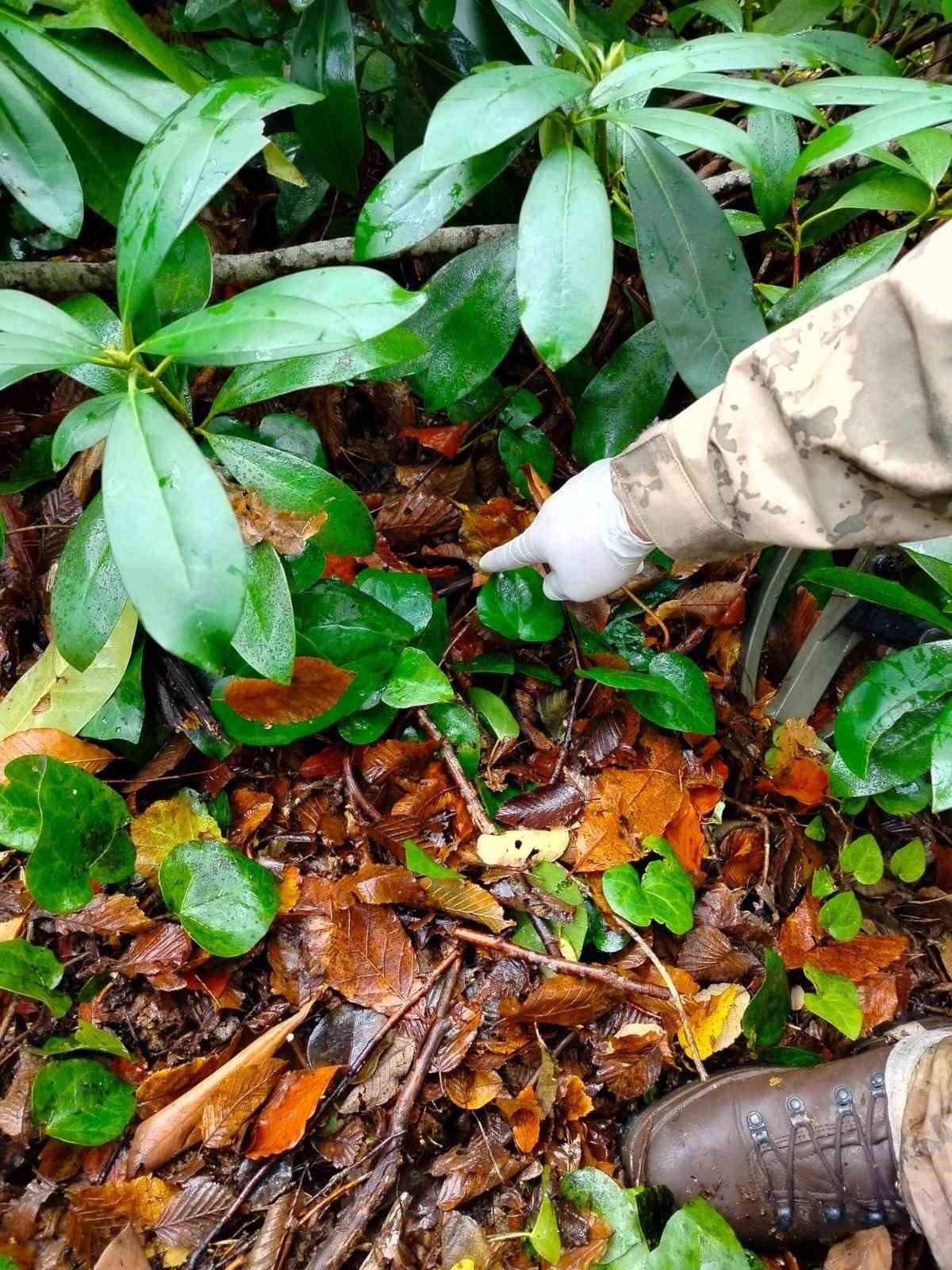 KASTAMONU’NUN BOZKURT İLÇESİNDE KAYIP OLARAK ARANAN ANNE İLE OĞLUNUN CANSIZ BEDENLERİNE ULAŞILDIĞI...