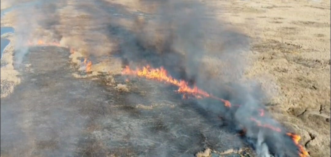 KİLİS'TE BİR KİŞİNİN SİLAHLA ÖLDÜRÜLMESİYLE İLGİLİ GÖZALTINA ALINAN KARI KOCA...