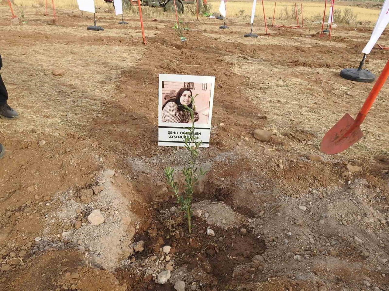 KİLİS'TE "ÇİFTÇİYE HAYAT OLSUN" PROJESİ KAPSAMINDA 10 BİN FİDAN TOPRAKLA BULUŞTU