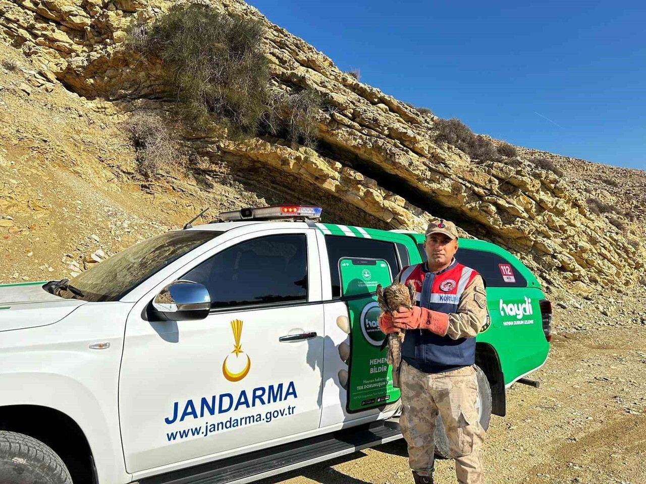 KİLİS’TE YARALI KIZIL ŞAHİN KUŞU KORUMA ALTINA ALINDI