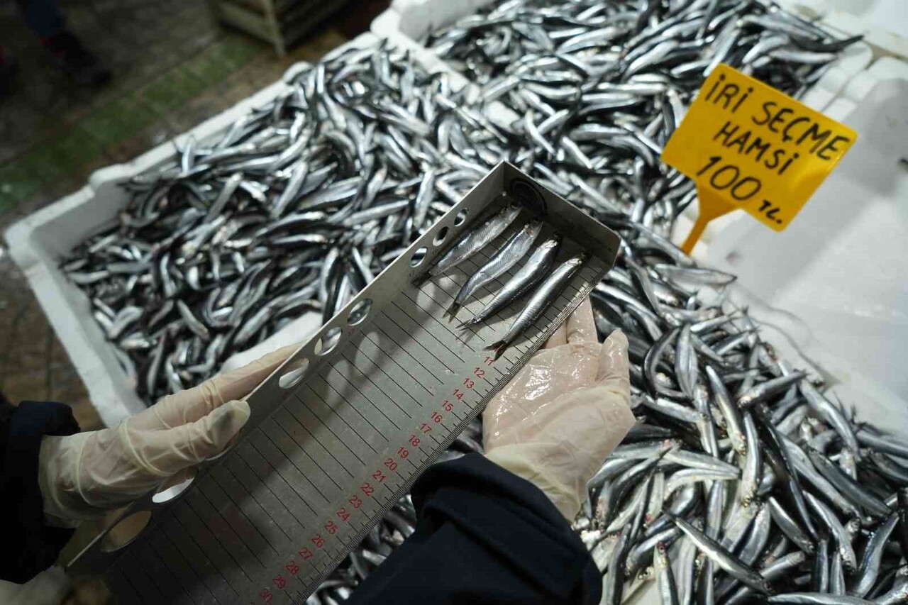 KİPLER, 2025 YILININ 10 AYLIK DÖNEMİNDE YAPTIKLARI 3 BİN 384 DENETİMDE 109 KİŞİ VE İŞLETMEYE...