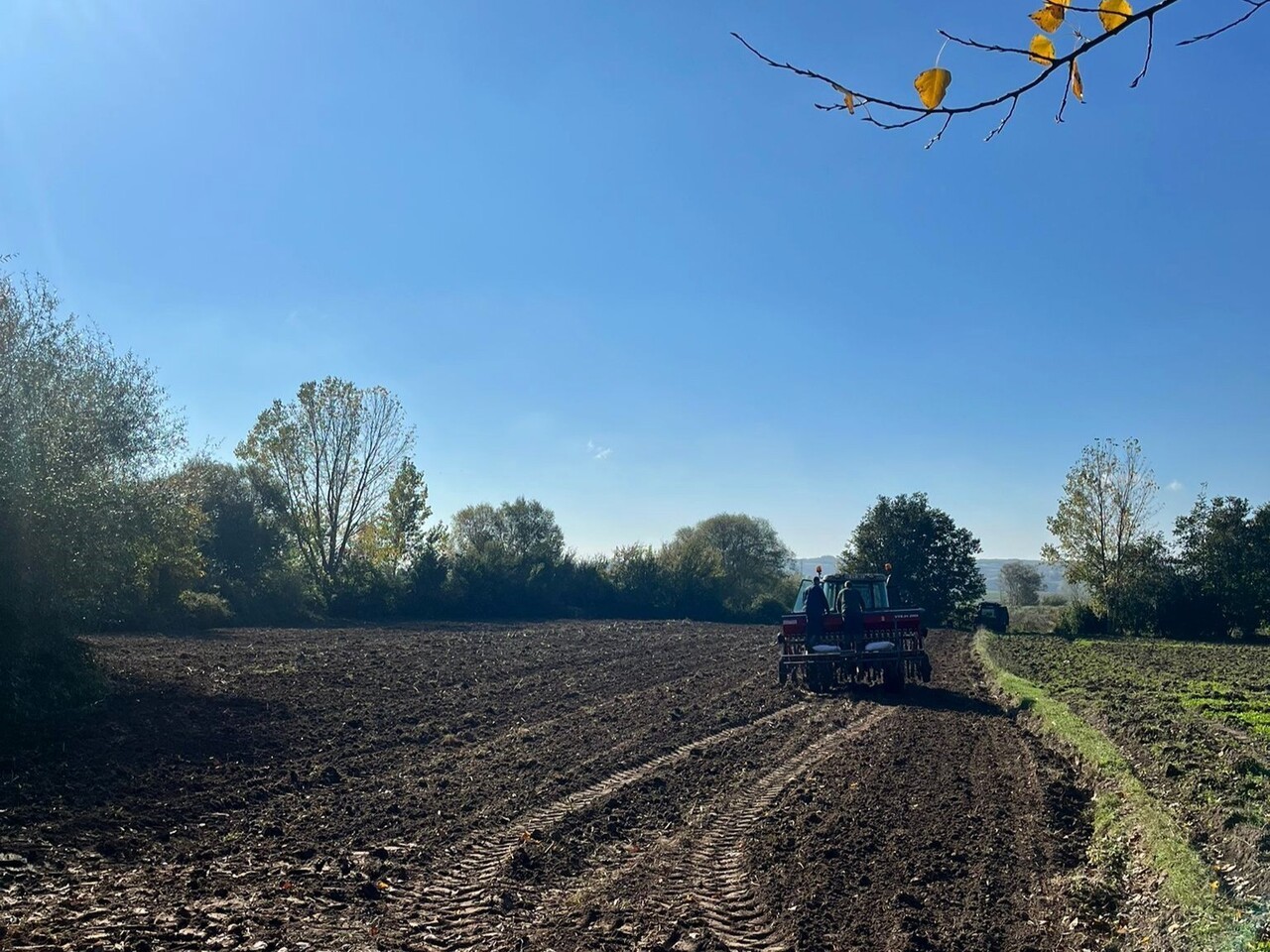 KIRKLARELİ'NİN VİZE İLÇESİNDE YERLİ VE MİLLİ YULAF ÇEŞİTLERİNİN YAYGINLAŞTIRILMASI İÇİN...