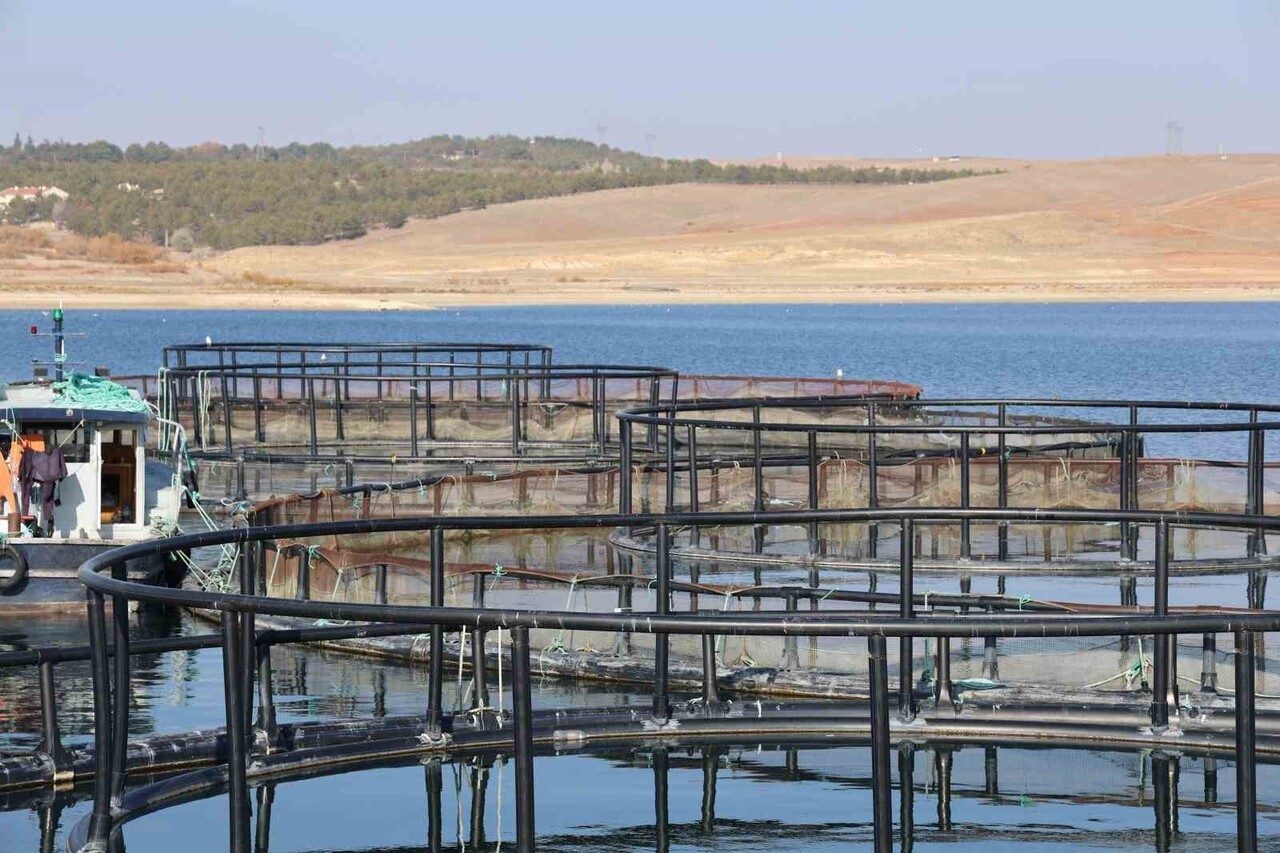 KIRŞEHİR'İN SU ÜRÜNLERİ ÜRETİMİNDE ÖNEMLİ MERKEZLERİNDEN BİRİ OLAN HİRFANLI BARAJI, TÜRK SOMON...