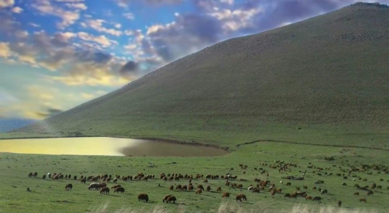 KÖY MUHTARININ MERAYI KİRAYA VERMESİYLE İLGİLİ SORUŞTURMA BAŞLATILDI