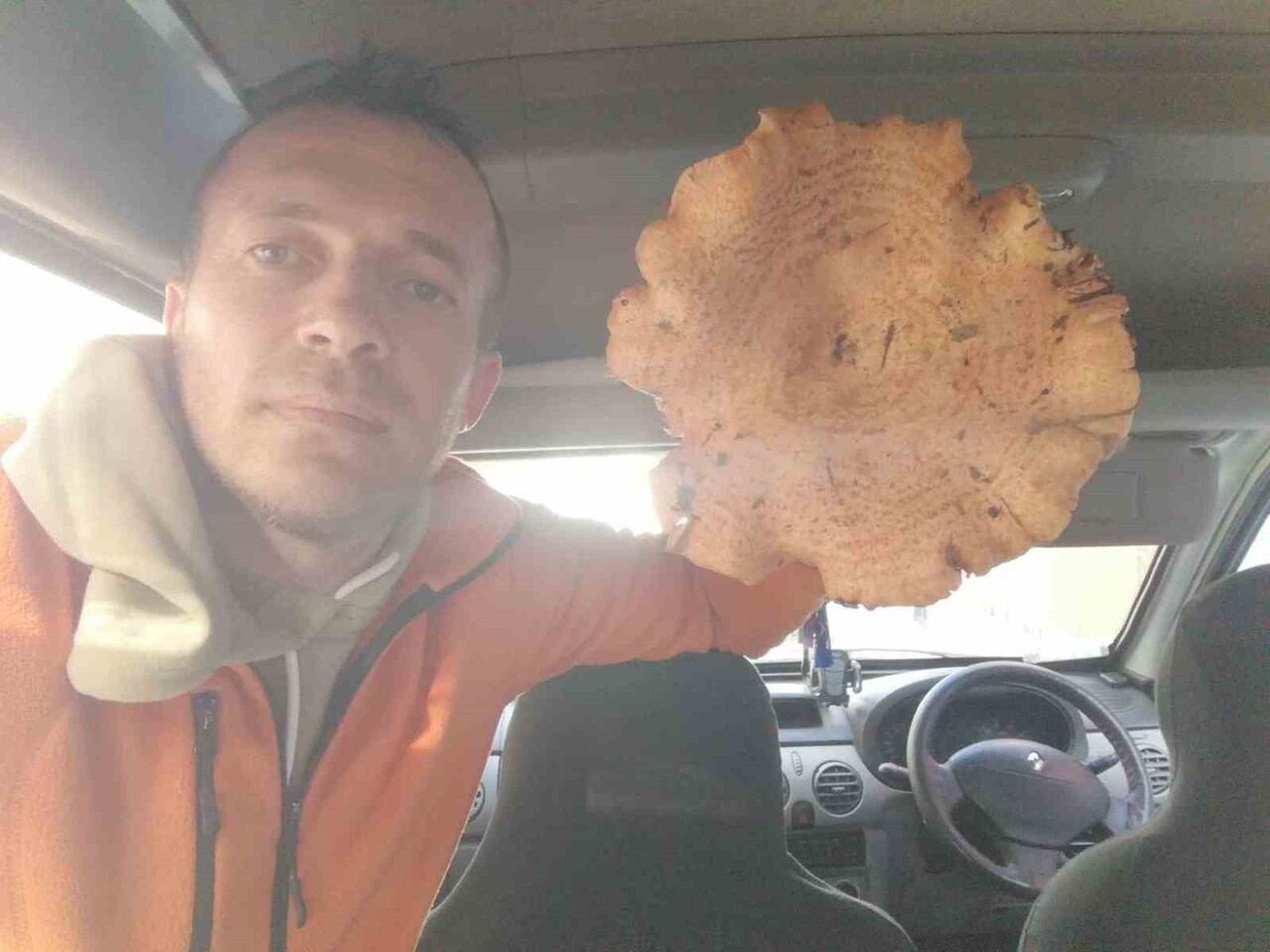 KÜTAHYA'DA BULUNAN DEV MANTAR ŞAŞIRTTI