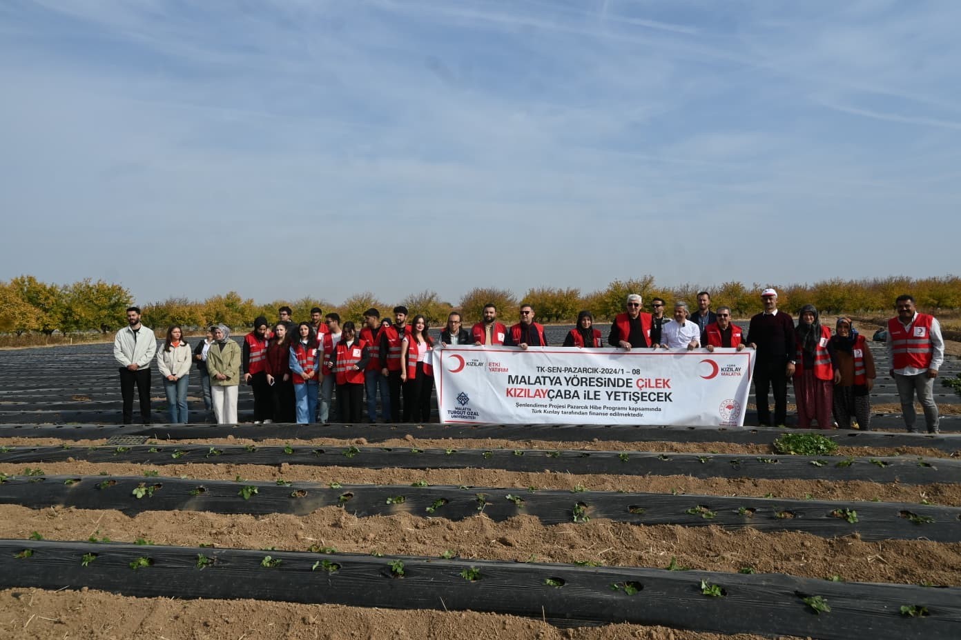 MALATYA’DA ÇİLEK YETİŞTİRİCİLİĞİNDE HİBE DESTEKLİ PROJE BAŞLADI