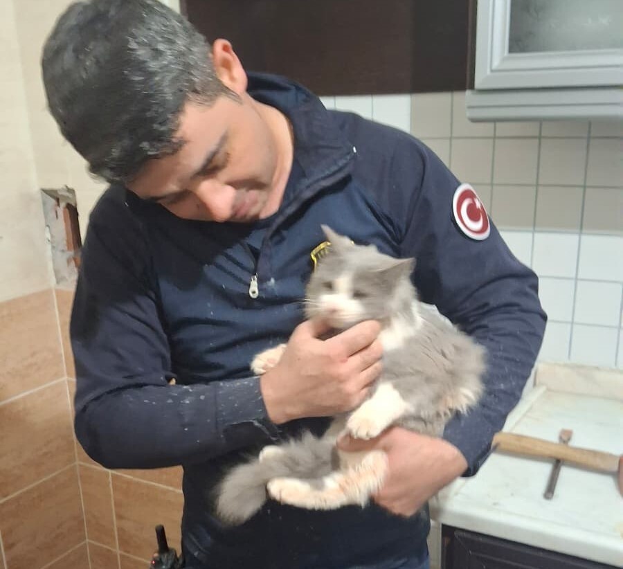 MALATYA’DA HAVALANDIRMA BOŞLUĞUNA DÜŞEN KEDİ KURTARILDI