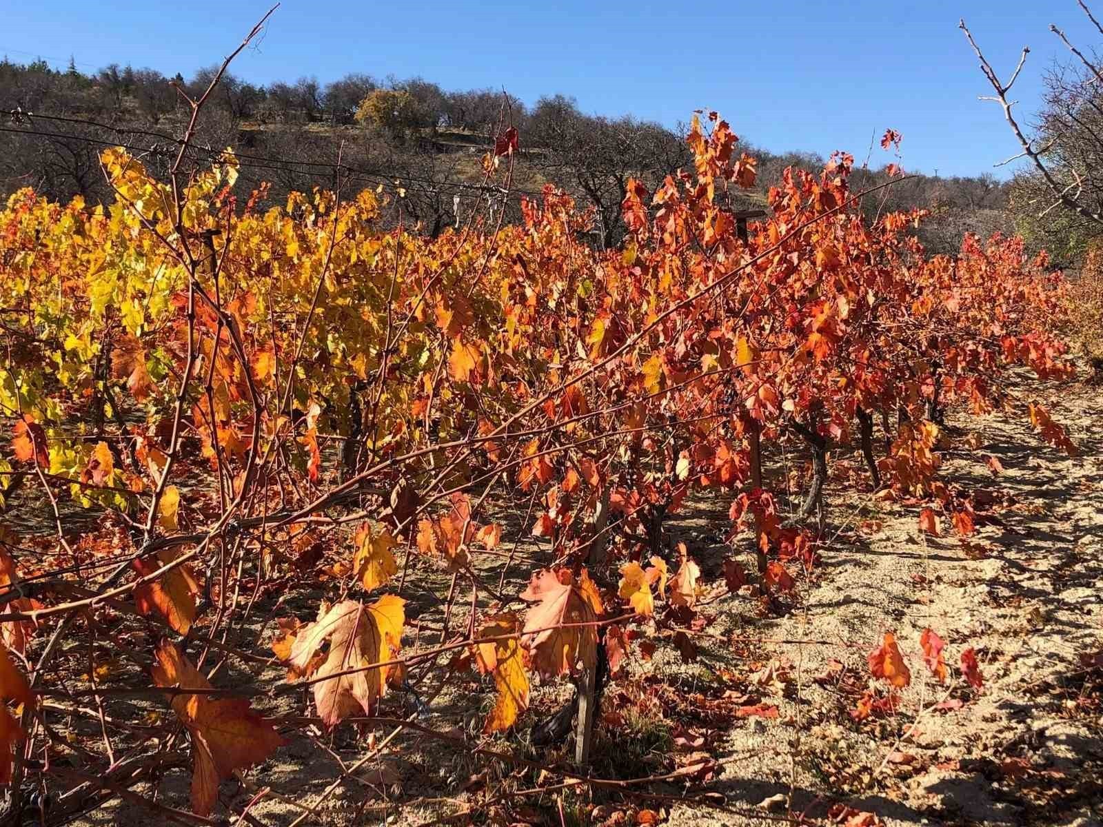 MALATYA’NIN ARAPGİR İLÇESİ, SONBAHAR İLE BİRLİKTE ORTAYA ÇIKAN EŞSİZ DOĞAL RENKLERİYLE GÖRENLERİ...