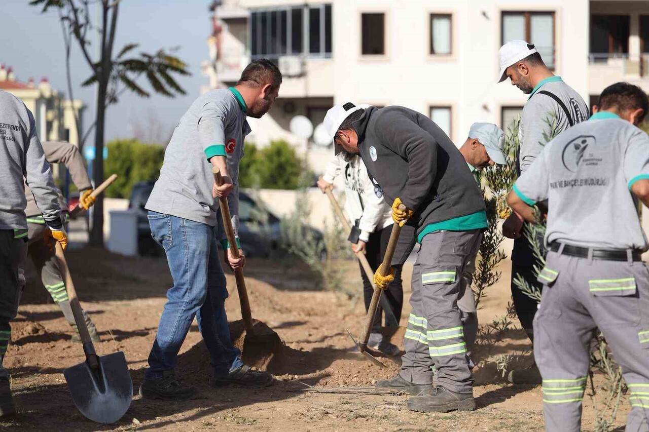 MERKEZEFENDİ BELEDİYE BAŞKANI ŞENİZ DOĞAN, GERZELE MAHALLESİ’NDE GERÇEKLEŞTİRDİKLERİ ZEYTİN AĞACI...