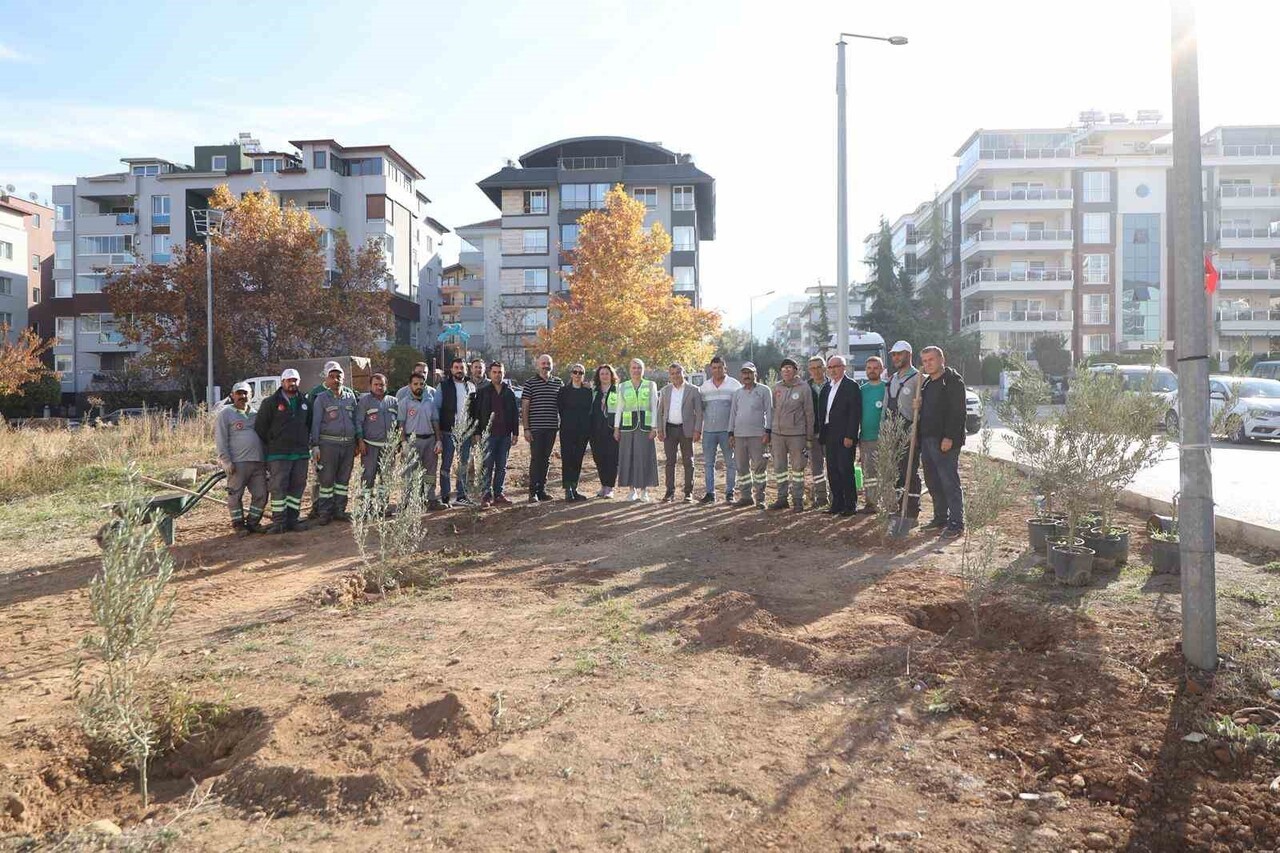 MERKEZEFENDİ BELEDİYE BAŞKANI ŞENİZ DOĞAN, GERZELE MAHALLESİ’NDE GERÇEKLEŞTİRDİKLERİ ZEYTİN AĞACI...