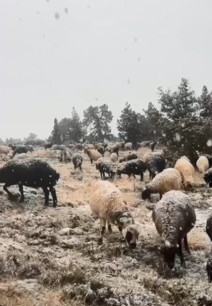 MERSİN'DE TOROSLARIN ETEĞİNDE KAR YAĞIŞI ETKİLİ OLDU.