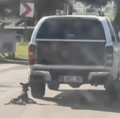 METRELERCE SÜRÜKLENEN KÖPEK TELEF OLDU