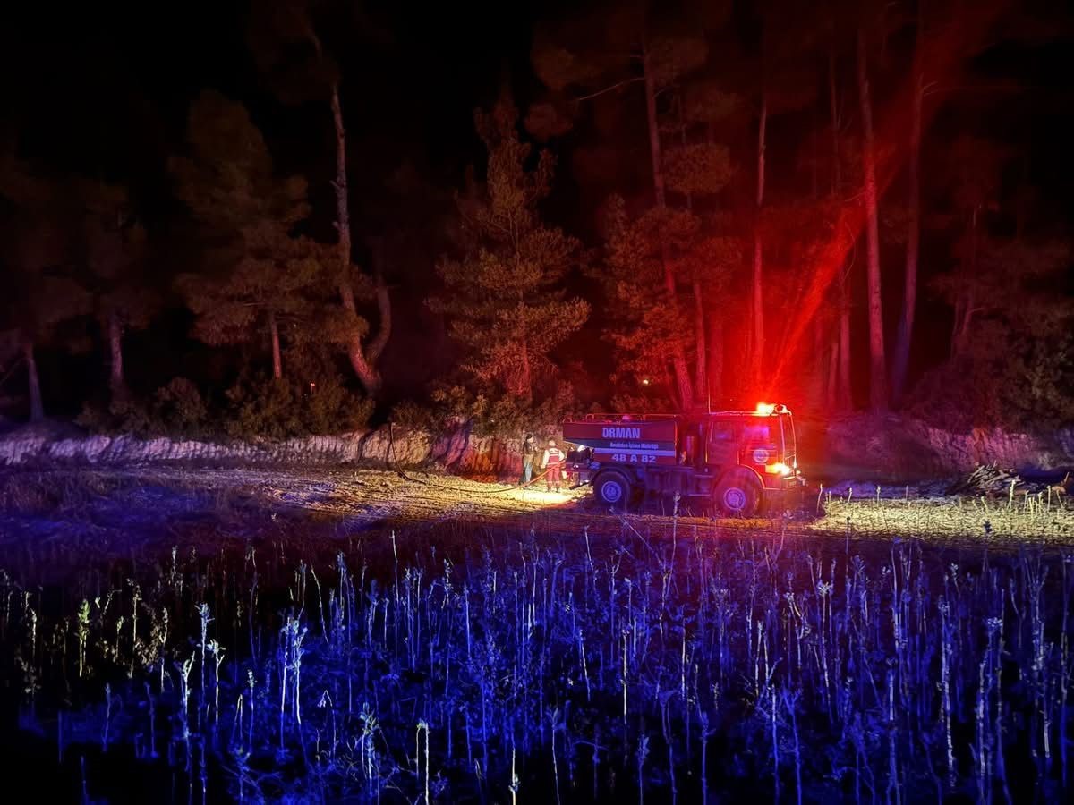 MUĞLA'NIN KAVAKLIDERE İLÇESİNDE ÇIKAN ORMAN YANGINI, EKİPLERİN HIZLI MÜDAHALESİYLE BÜYÜMEDEN...