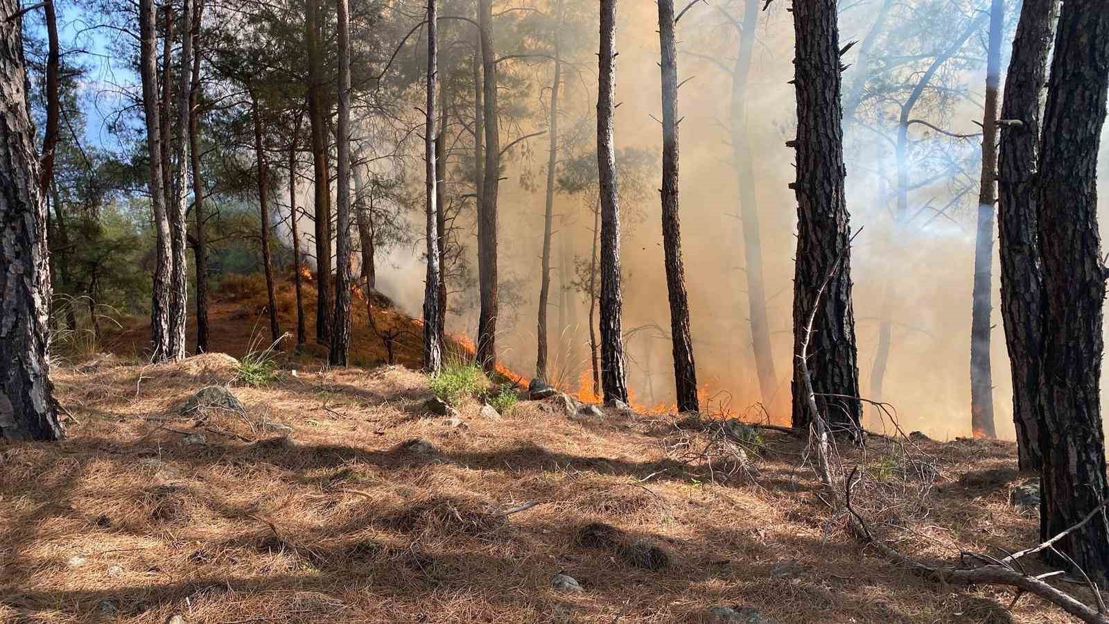 MUĞLA'NIN SEYDİKEMER İLÇESİNDE ORMAN YANGINI ÇIKTI