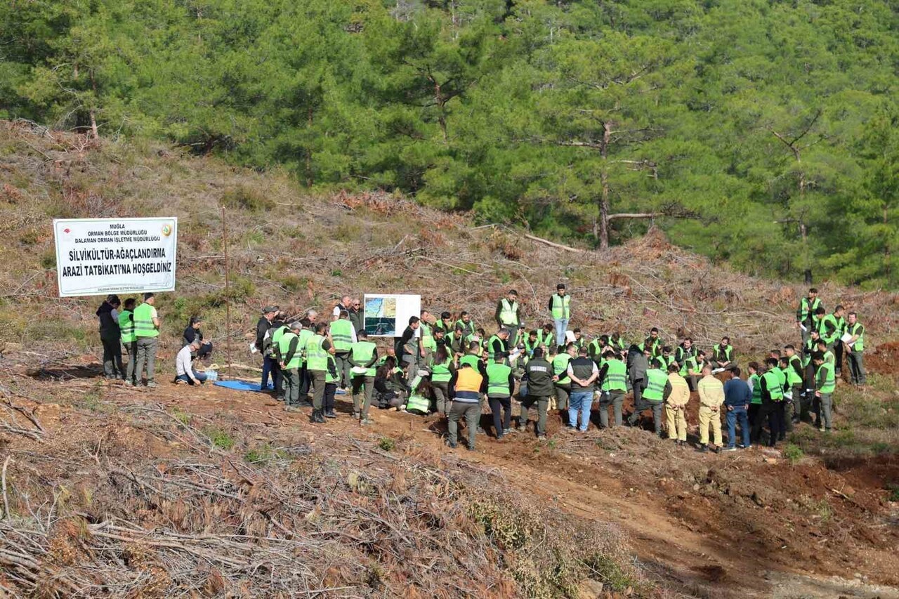 MUĞLA’DA ORMANLARIN GELECEĞİ İÇİN EĞİTİM SEFERBERLİĞİ