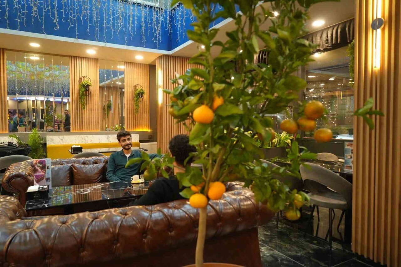 MUŞ'TA BİR KAFE İŞLETMECİSİNİN SAKSIDA YETİŞTİRDİĞİ MANDALİNA AĞAÇLARI, HEM DOĞAL GÖRÜNTÜSÜ HEM DE...