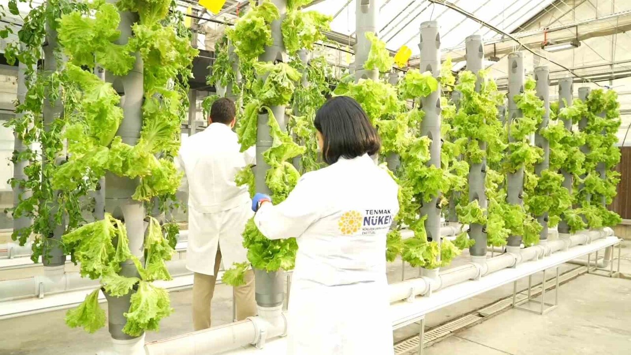 NÜKEN TARIM VE GIDA ARAŞTIRMALARI GRUBU, BÜNYESİNDEKİ LABORATUVARLARDA TÜRKİYE’NİN TARIM VE GIDA...