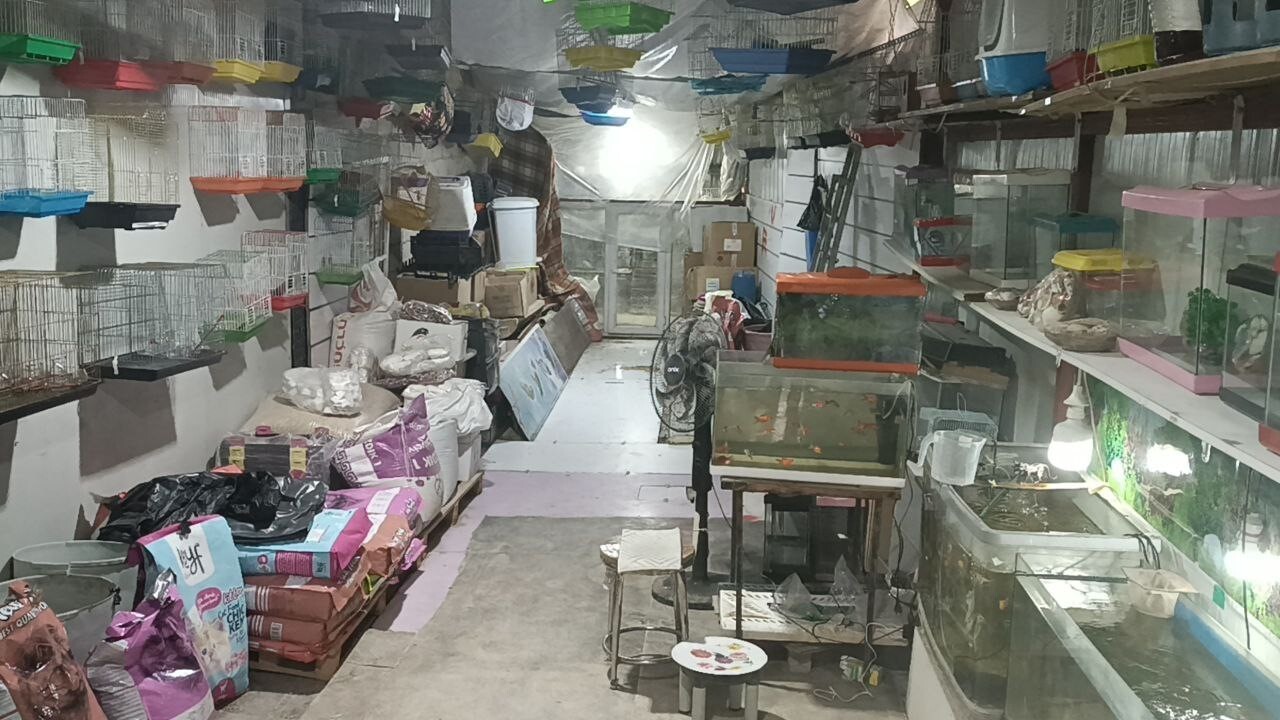 OLAYIN YAŞANDIĞI PETSHOP DÜKKANI