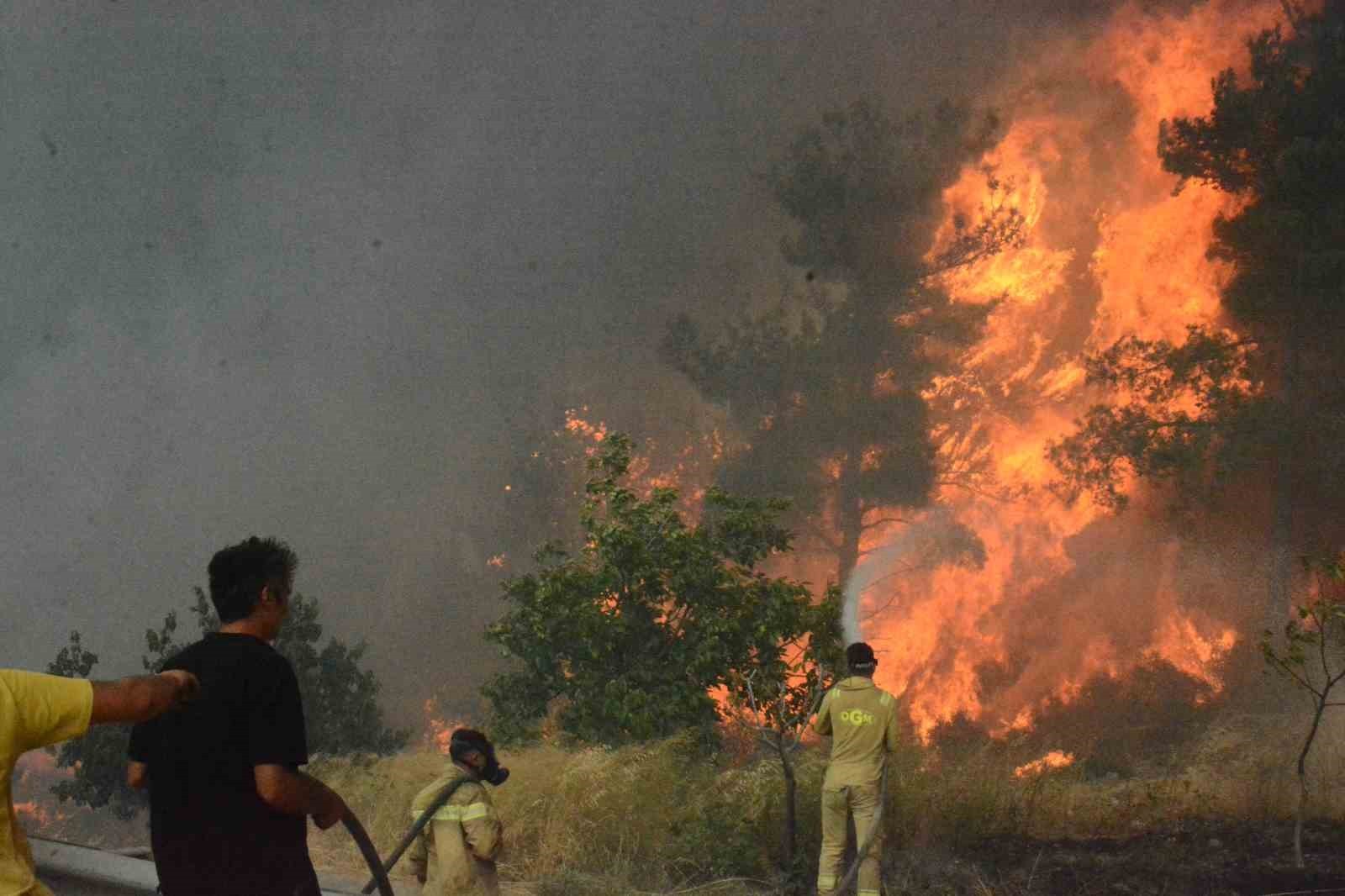 ORMAN BÖLGE MÜDÜRÜ ENVER DEMİRCİ, "YANAN BU ALANLARIN YENİDEN ORMAN HALİNE DÖNÜŞTÜRÜLMESİ ANAYASAL...